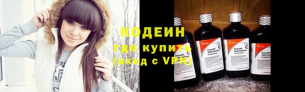 ГАЛЛЮЦИНОГЕННЫЕ ГРИБЫ Абаза