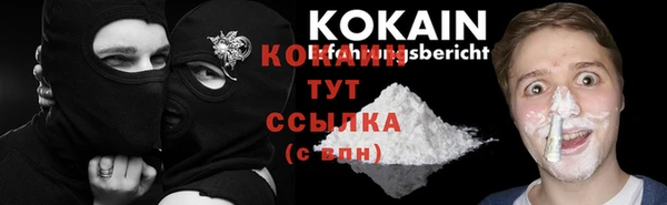 ГАЛЛЮЦИНОГЕННЫЕ ГРИБЫ Абаза