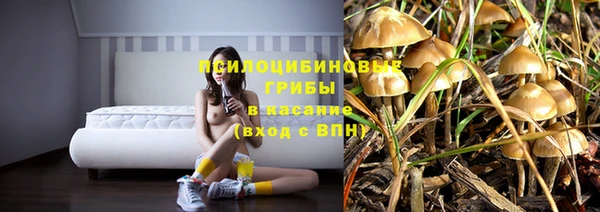 Альфа ПВП Абдулино