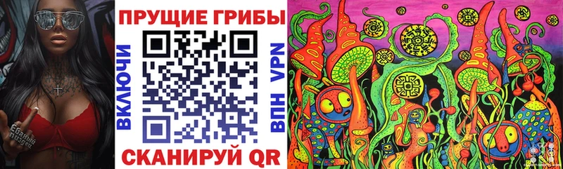 Галлюциногенные грибы Cubensis  Оренбург 
